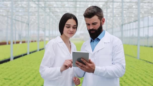 Dos técnicos de laboratorio haciendo investigación de pie en invernadero de agro celebración tableta. Están mirando a la cámara. Los ingenieros examinan el estado de las plantas y analizan el potencial creciente — Vídeo de stock