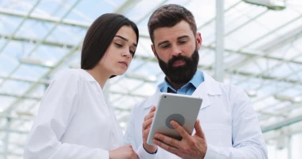 Dois técnicos de laboratório fazendo pesquisa em pé em estufa de agro segurando tablet. Eles examinam o estado das plantas e analisam o potencial crescente — Vídeo de Stock