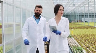 Bir tablet ile sera Laboratuvarı cüppeli iki araştırmacı dolaşmak