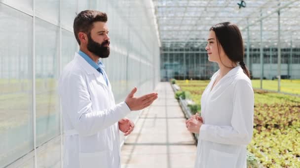 Two researchers in laboratory syands in greenhouse. They discuss the success of doing business — Stock Video
