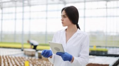 Sera yürüyüş, bitkiler durumunu inceleyerek ve çiftlik işçisi tarafından geçen tablet bilgisayar ile kadın tarım enginee.
