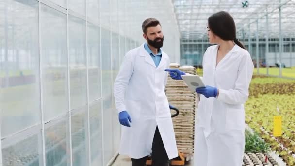 Dois pesquisadores em roupões de laboratório caminham pela estufa com um tablet — Vídeo de Stock