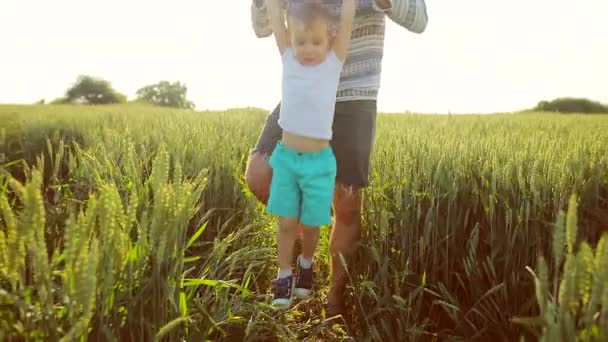 Young father and son walk in the field and have fun Stock Footage