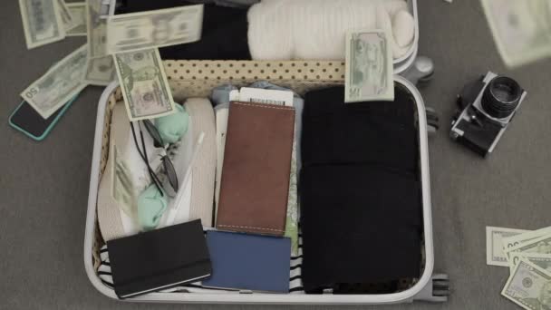 El dinero está cayendo en una maleta. En cámara lenta. El concepto de riqueza, viajes — Vídeo de stock