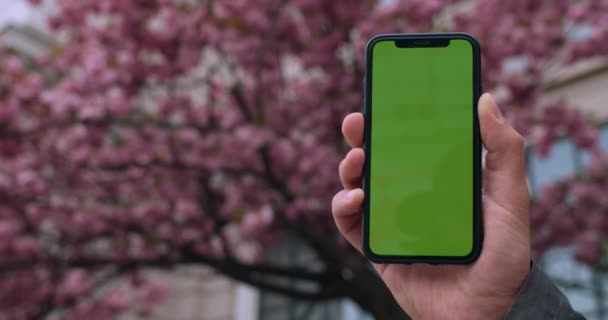 グリーンスクリーンスマートフォンを持つ男性の手のビューを閉じます。クロマキー、モックアップと技術の概念。桜の木の背景. — ストック動画