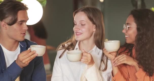 Millennial pessoas torcendo com copos e rindo enquanto sentado no café moderno. Jovens colegas sorridentes se divertindo e se comunicando durante o almoço. Conceito de lazer . — Vídeo de Stock