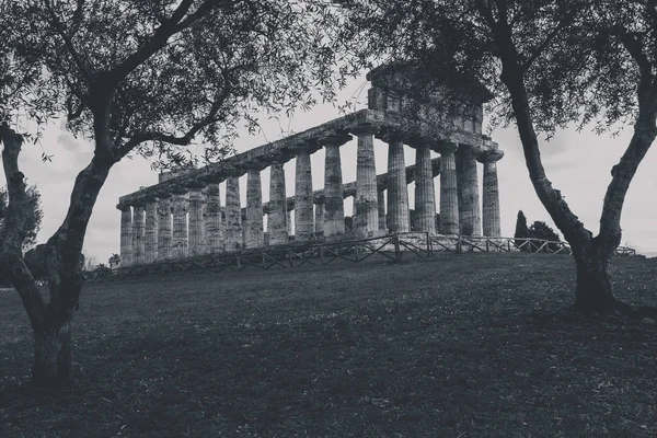 Paestum 的考古遗迹意大利了解文化和旅游业的概念 — 图库照片