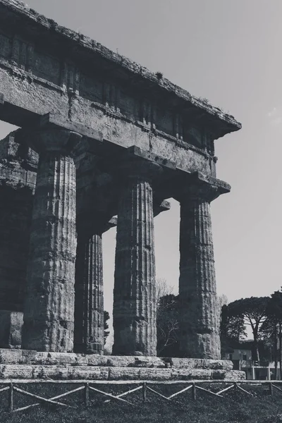 Kültür Turizm Kavramını Paestum Salerno Talya Nın Arkeolojik Kalıntılar — Stok fotoğraf