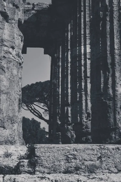 Kültür Turizm Kavramını Paestum Salerno Talya Nın Arkeolojik Kalıntılar — Stok fotoğraf