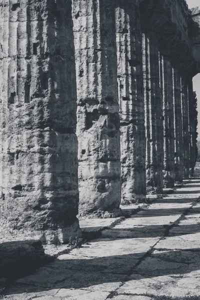 Pozostałości Archeologiczne Paestum Salerno Włoch Aby Zrozumieć Pojęcie Kultury Turystyki — Zdjęcie stockowe