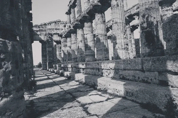 Pozostałości Archeologiczne Paestum Salerno Włoch Aby Zrozumieć Pojęcie Kultury Turystyki — Zdjęcie stockowe