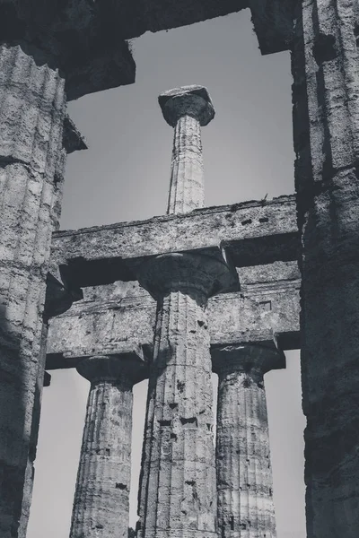 Restos Arqueológicos Paestum Salerno Itália Para Entender Conceito Cultura Turismo — Fotografia de Stock