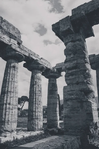 Археологические Останки Paestum Salerno Италия Понимания Концепции Культуры Туризма — стоковое фото