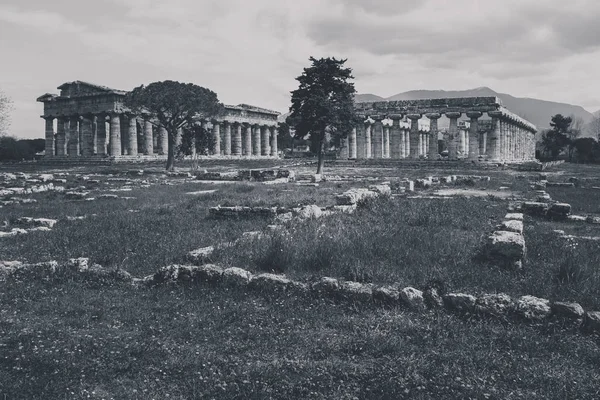 Paestum 的考古遗迹意大利了解文化和旅游业的概念 — 图库照片