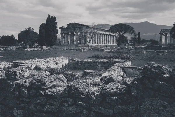 Kültür Turizm Kavramını Paestum Salerno Talya Nın Arkeolojik Kalıntılar — Stok fotoğraf