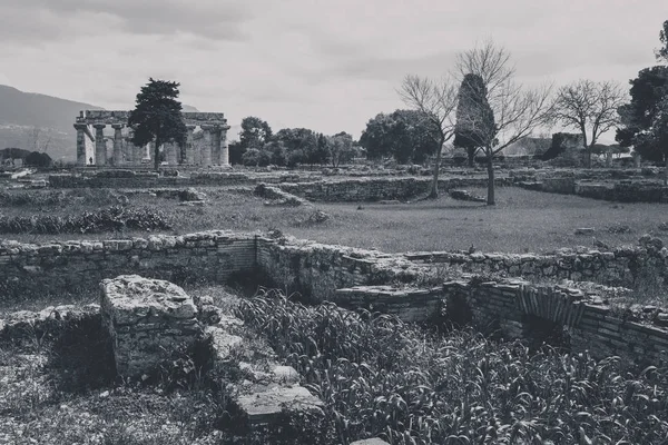 Archeologische Resten Van Paestum Salerno Italië Begrijpen Van Een Concept — Stockfoto