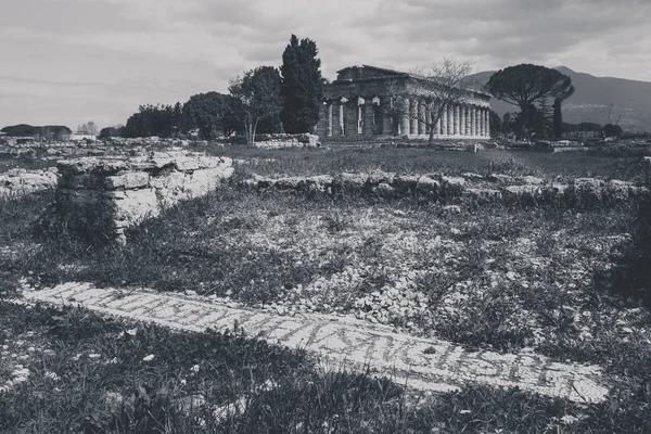 Pozostałości Archeologiczne Paestum Salerno Włoch Aby Zrozumieć Pojęcie Kultury Turystyki — Zdjęcie stockowe