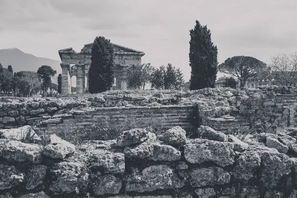 Archeologische Resten Van Paestum Salerno Italië Begrijpen Van Een Concept — Stockfoto