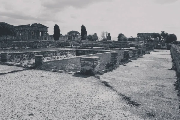 Resti Archeologici Paestum Salerno Comprendere Concetto Cultura Turismo — Foto Stock