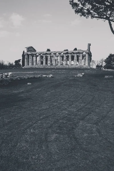 Restos Arqueológicos Paestum Salerno Itália Para Entender Conceito Cultura Turismo — Fotografia de Stock