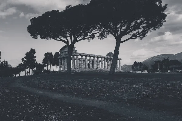 Resti Archeologici Paestum Salerno Comprendere Concetto Cultura Turismo — Foto Stock