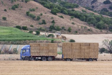 Tarım makineleri tarafından samanların hasat edilmesi üzerine tarım çalışmaları