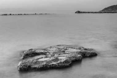 Mavi gökyüzünün altındaki deniz resifleri, fotoğrafın yakın çekimi