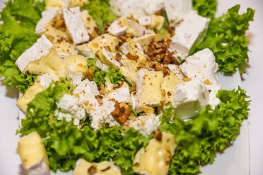 Peynir tabağı farklı tipteki çeşitli peynir restoran masada servis. Sığ odak.