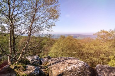 Brimham Rocks, North Yorkshire'da, Nisan 2019'da