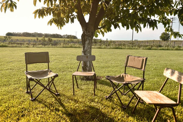 Quatro Cadeira Dobrável Para Pesca Relaxamento Livre Stand Sob Árvore — Fotografia de Stock