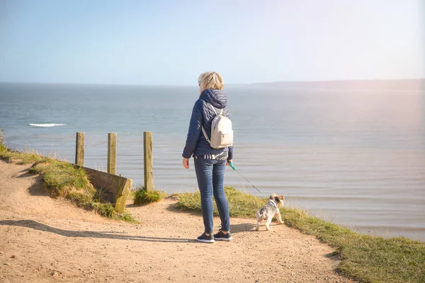 在英国芬利 一个带着狗在半岛悬崖边看着大海的女人 — 图库照片