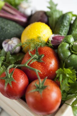 Sebze. farklı parlak taze sebzeler. beyaz bir arka plan üzerinde parlak sebze ve yeşillik. beyaz bir arka plan üzerinde sebze. Hasat
