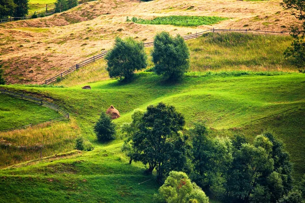Vihreä Kesämaisema Maisema Maisema Green Hills Vuoristolaaksossa Kesävuoristomaisema — kuvapankkivalokuva