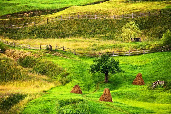 Zielone Lato Pejzaż Piękny Widok Zielone Wzgórza Górskiej Dolinie Krajobraz — Zdjęcie stockowe
