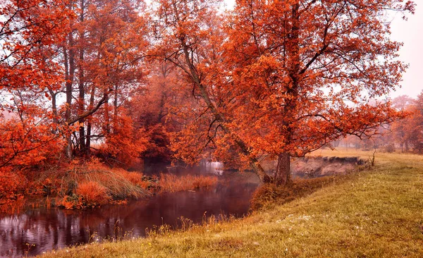 Jesienią Kolorowe Sunrise Nad Rzeką Spokojny Mglisty Mglisty Poranek Jesienią — Zdjęcie stockowe