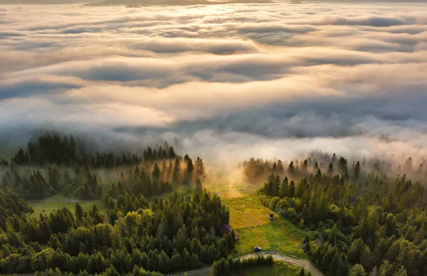 Krásné Mlhavé Svítání Horách Moře Mlhy Vrchol Kopce Karpaty Ukrajina — Stock fotografie