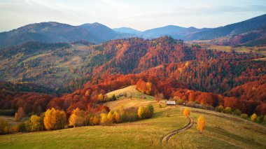 Güzel dağ çayır ve renkli orman ile sonbahar manzarası. Kırmızı, sarı, portakal ağaçları tepelerde üzerinde. Ulusal Tabiat Parkı Synevyr, Karpatlar, Ukrayna, Europe.