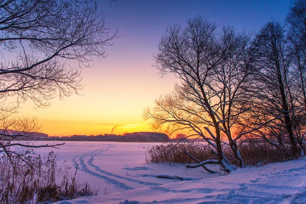 Günbatımı kış manzara mor ve pembe renklerde karla kaplı Gölü ile. Donmuş göl ve günbatımı gökyüzü güzel renkli kış günbatımı. Winter park. Belarus