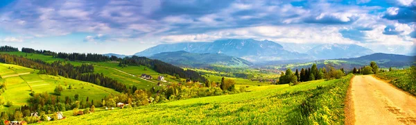 波兰春天的塔特拉山全景 山丘上的绿色蒲公英春天的草地 在欧洲度假 — 图库照片