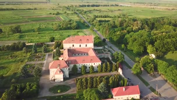 从空中俯瞰Olesko宫储备 山上的夏季公园 乌克兰Olesky城堡的空中景观 — 图库视频影像