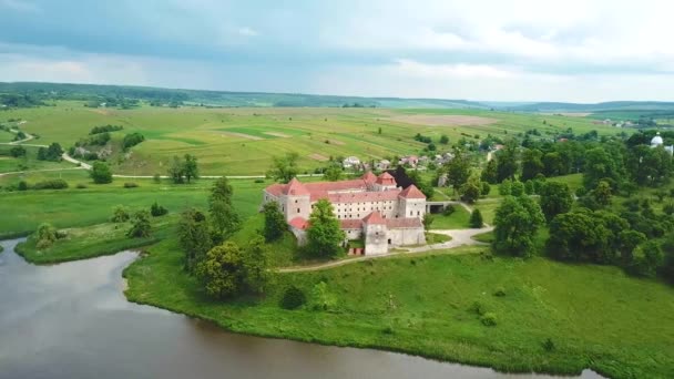 Παλάτι Svirzh Από Τον Αέρα Καλοκαίρι Πάρκο Και Λίμνη Πάνω — Αρχείο Βίντεο