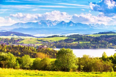 Yeşil alanlar ve çayırlar Malopolska bölgesinde, Polonya. Czorsztyn Kale arkasında Tatra Dağları, Pieniny aralığı