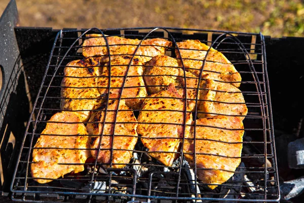 Fläsk kryddig biff i marinad rostad på braai — Stockfoto