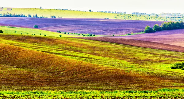 Panoramisch uitzicht op landelijke scene. Rolling landbouw velden — Stockfoto