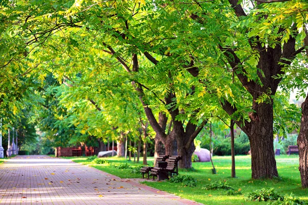 Autumn landscape  benches on a beautiful autumn walkway — Stock Photo, Image