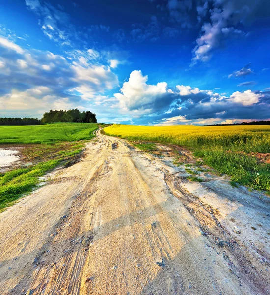 Dirt road into yellow colza and green wheat fields — Stock Photo, Image