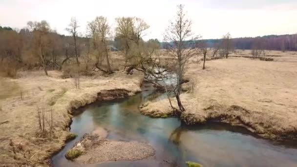 4月の田園風景 早春の小さな川スーラ 小川が Medow に曲がる空中写真 ベラルーシ — ストック動画