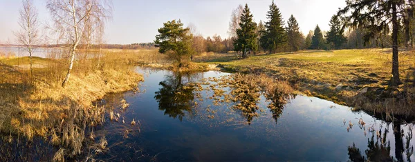 Panorama jeziora w lesie w czasie porannym. Czyste środowisko wiejskie — Zdjęcie stockowe