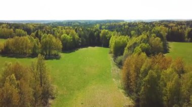Bahar yeşil alanları ve orman hava görünümü. Güneşli bir gün. Drone'dan görünüm