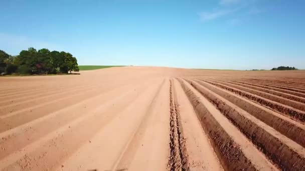 Paesaggio Agricolo Seminativo Campo Patate Dopo Semina Meccanizzata Campo Asparagi — Video Stock